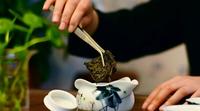 长期饮用茯茶的五大药理作用