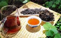 梧州质监局：建立六堡茶标准体系