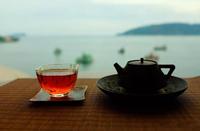 不同品类及年份的六堡茶通常所具有的八种香型