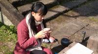 让人惊叹的武夷岩茶绝技。