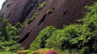 武夷岩茶“岩韵”是怎么形成的