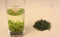 绿茶的产地日照绿茶加工工艺