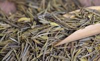 珍稀白茶的功效白牡丹茶价值功能