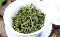 崂山茶叶崂山绿茶历史文化