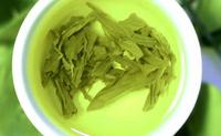 绿茶属于什么茶南安石亭绿历史