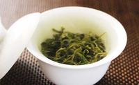 绿茶冬天可以喝吗瓷杯品天山绿茶