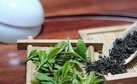 植村秀绿茶卸妆油桐庐天尊贡芽品质特征