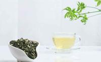 绿茶的样子西山茶产品荣誉