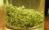 绿茶茶叶可以吃吗仙人掌茶食疗作用