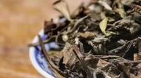 白茶在存放的过程中会发生哪些变化？