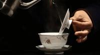 如何泡好一杯茶，让你的白茶好喝起来。
