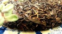 普洱茶山头丨试试勐库茶到底有多涩？