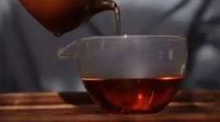 普洱熟茶渥堆发酵技术