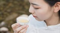 体寒的人能喝白茶吗？