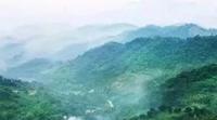 【文旅普洱】景迈山|一片沉承载千年茶文化的净土