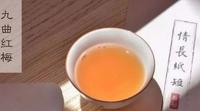 饮茶札记——冲泡“九曲红梅”也是有讲究的！