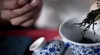 没有电子秤，泡茶怎么控制放多少茶叶？