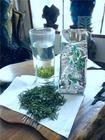 日照绿茶是属于绿茶吗？