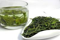 日照绿茶和崂山绿茶的功效有什么不一样
