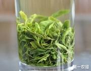 常喝日照绿茶的八大好处日照绿茶的功效与作用是什么