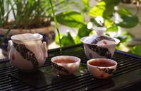 武夷岩茶的十大养生保健功效防癌为主