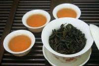 如果想喝武夷大红袍茶汤需要知道的禁忌