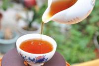 一起来学茶知识之关于大红袍最全的资料