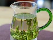 文新信阳毛尖绿茶的特色有哪些？