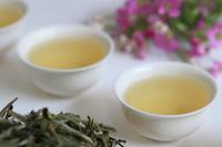 白牡丹茶是是中国福建省的历史名茶