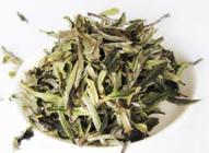 白牡丹茶怎么保存是所有茶中最易陈化变质的