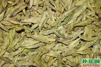 品鉴茶——绿茶▪六安瓜片