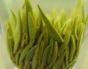 竹叶青茶的产地特点以及其功效和益处