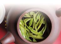 碧螺春都有哪些品种碧螺春的茶叶特点介绍