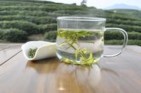 安吉白茶是什么茶绿茶为什么要叫白茶