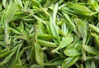 西湖龙井绿茶能加蜂蜜一起喝吗？