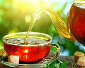 鲜为人知的私茶小叶种新品红茶金祖茶