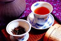 冬天喝茶养生红茶要如何搭配才能保健