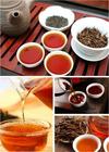 红茶和普洱茶哪个减肥普洱茶储藏法