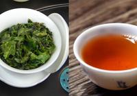 铁观音与大红袍两种茶的独特之处比较