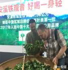 安溪铁观音参展“双安双创”推动安溪茶产业的二次腾飞