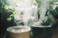乌龙茶知识讲堂铁观音盖香的类型和鉴别