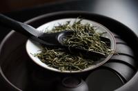恩施玉露是什么茶又有哪些品质特征呢