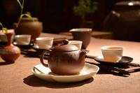 详说普洱生茶的茶叶功效以及饮用技巧