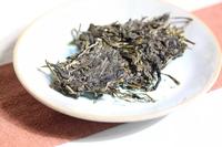 普洱当地60岁老茶农，从零开始，带你全面认识普洱生茶！