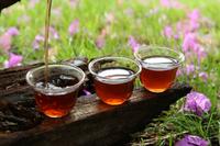年份是茶叶的历史见证和普洱茶价值所在