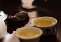 普洱茶文化：茶文化兴起普洱收藏渐热
