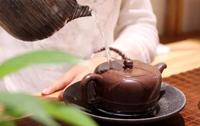 茶叶做法：下火减肥茶菊花普洱茶的做法