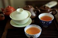茶文化之茯茶与普洱茶的历史底蕴比较