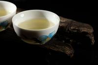 普洱茶春夏秋的茶的品质区别与对比