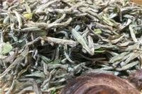 为什么绿茶叫白茶，如安吉白茶、天目湖白茶